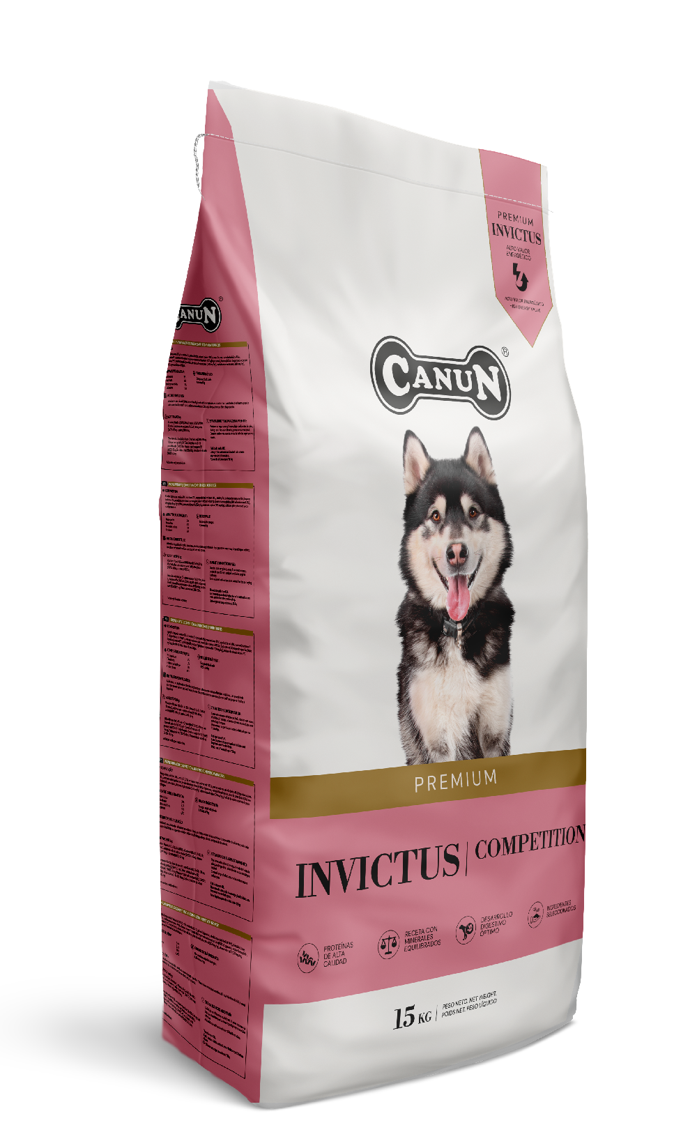 INVICTUS COMPETITION
